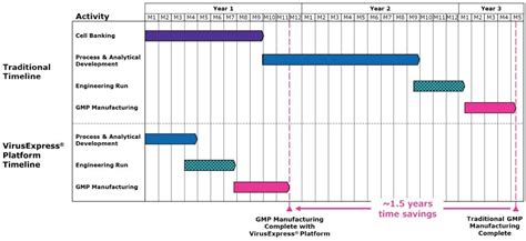 lentivirus production timeline.